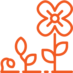 Why Are We Doing this